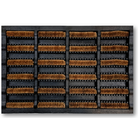 Bootscraper Bison
