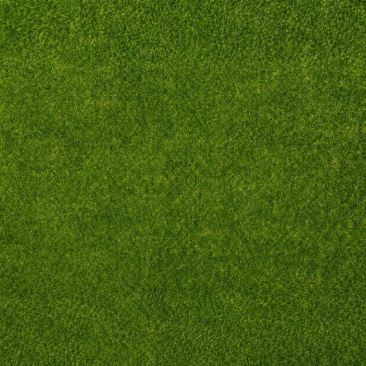 Kunstgras Saturnus