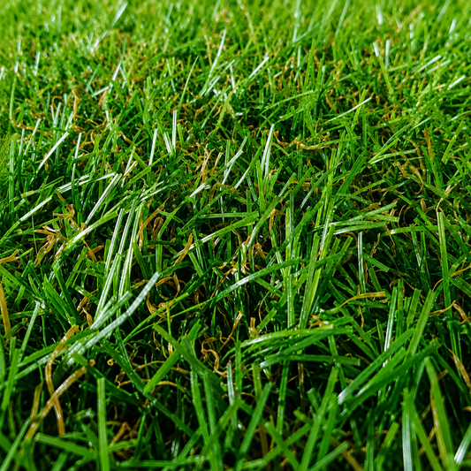 Kunstgras Saturnus